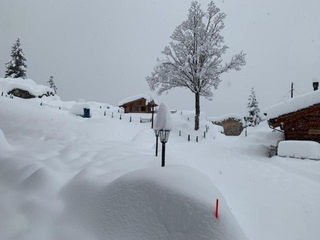Griesalp Kiental